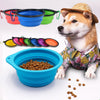 Pet Folding Collapsible Travel Bowl