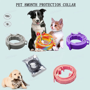 Flea Tick (8mth) Protection Collars