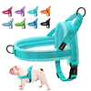 No-Pull Adjustable Dog Harness