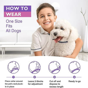 Pet Anxiety Calming Collars