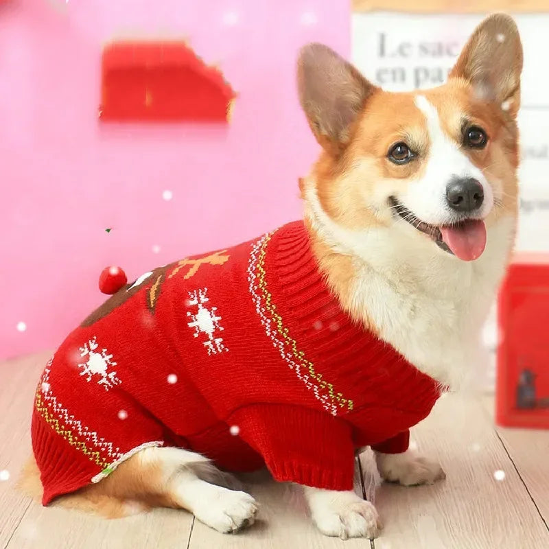 Xmas Snowflake Pet Coat