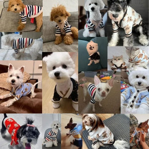 Pet Cute Sweaters/Cardigans