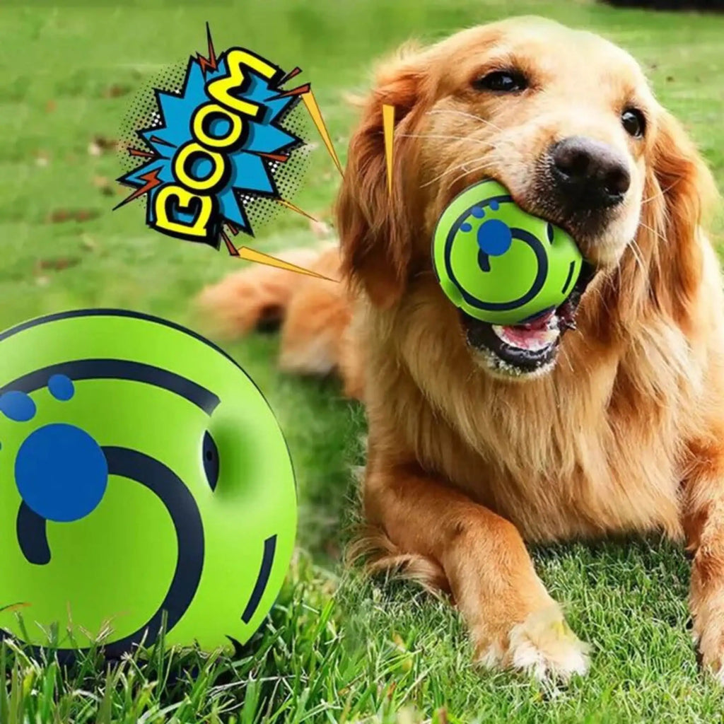 Pet-Giggle-Sound Ball