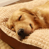 Pet Soft Bed Cushion