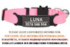 Safety Cat Collars (Free Engraving)