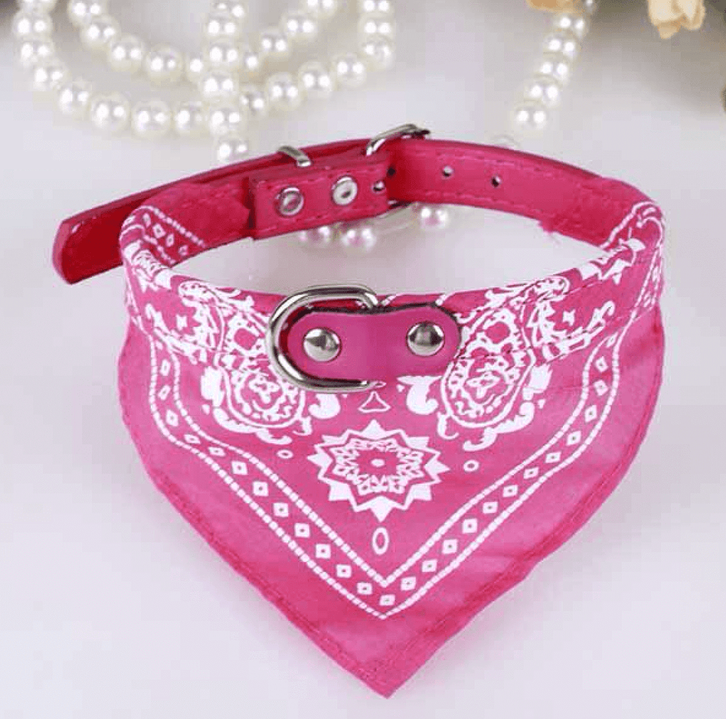 Bandana Scarf - Pet Collars