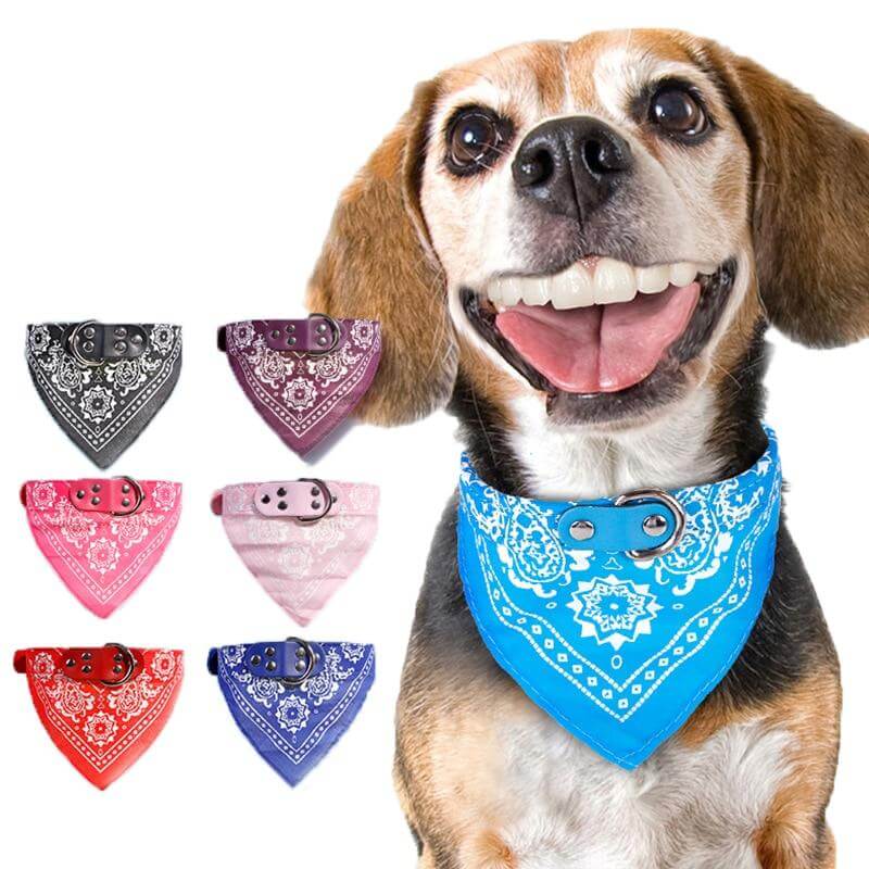 Bandana Scarf - Pet Collars